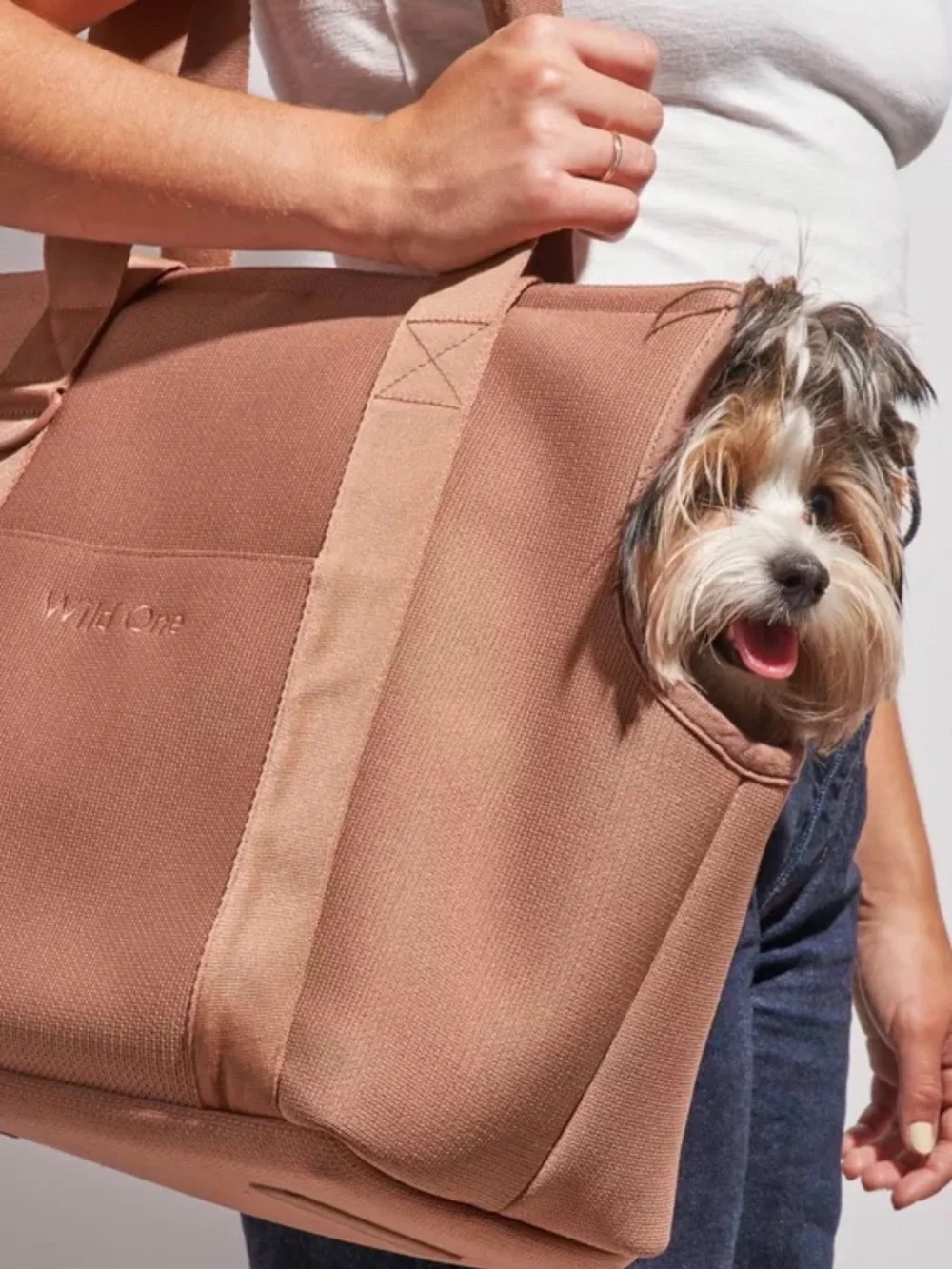 Wild One Everyday Carrier